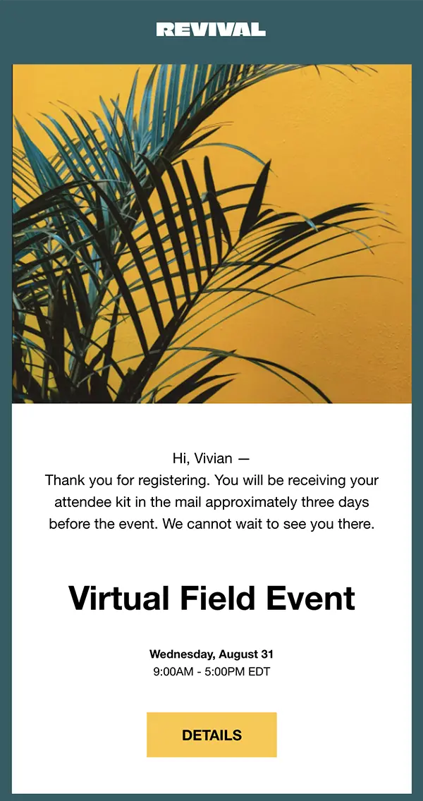 Theme Email Design Template