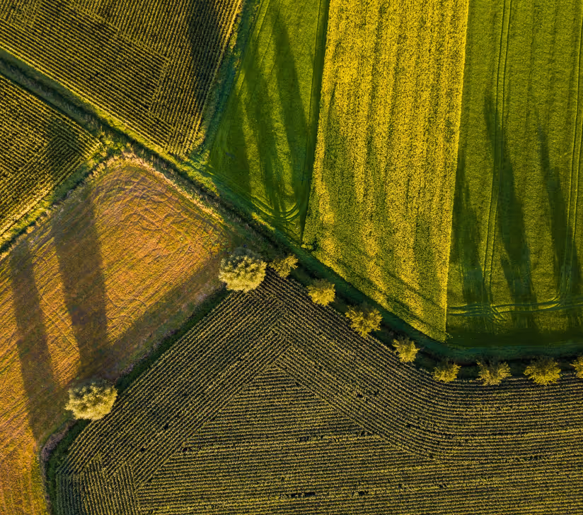 An aerial photograph of a country field and trees
  