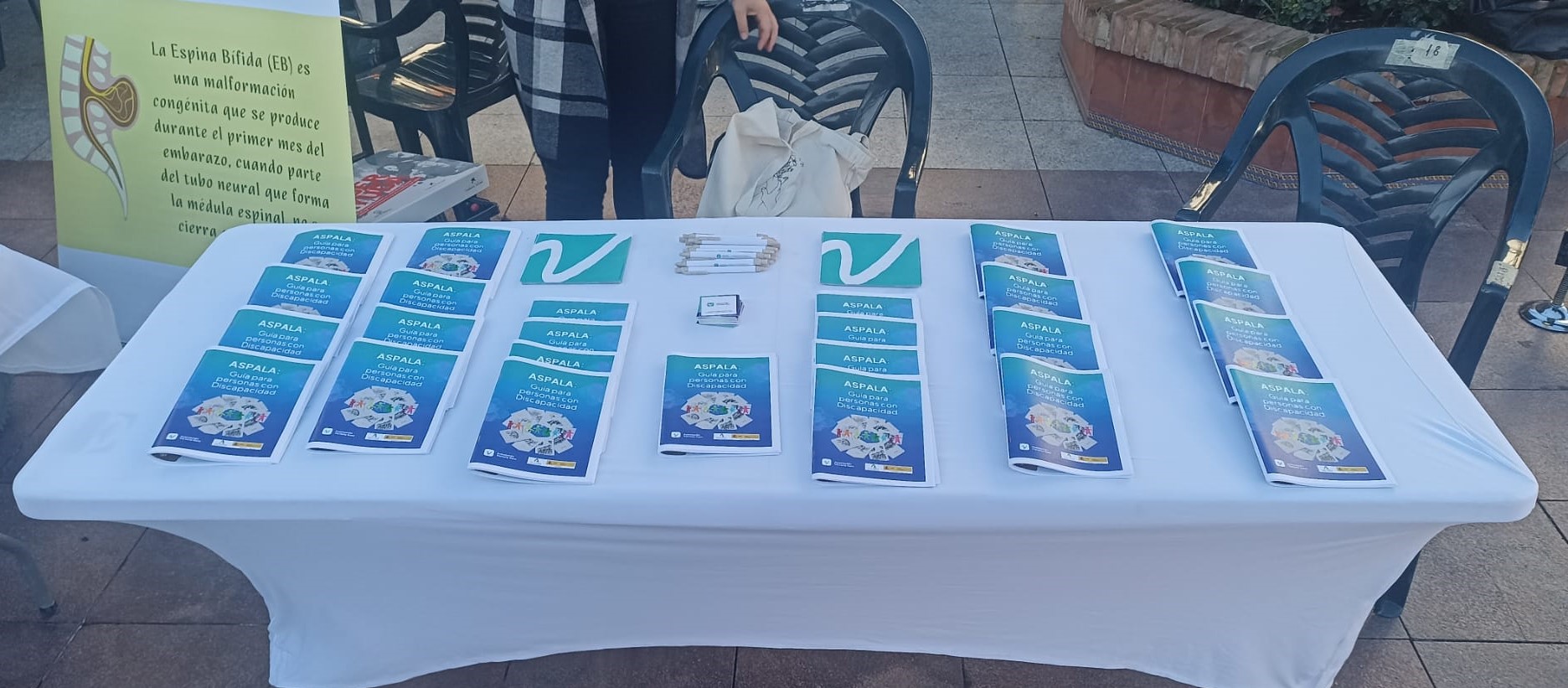 Nuestro Compromiso con la Discapacidad: ASPALA en Acción