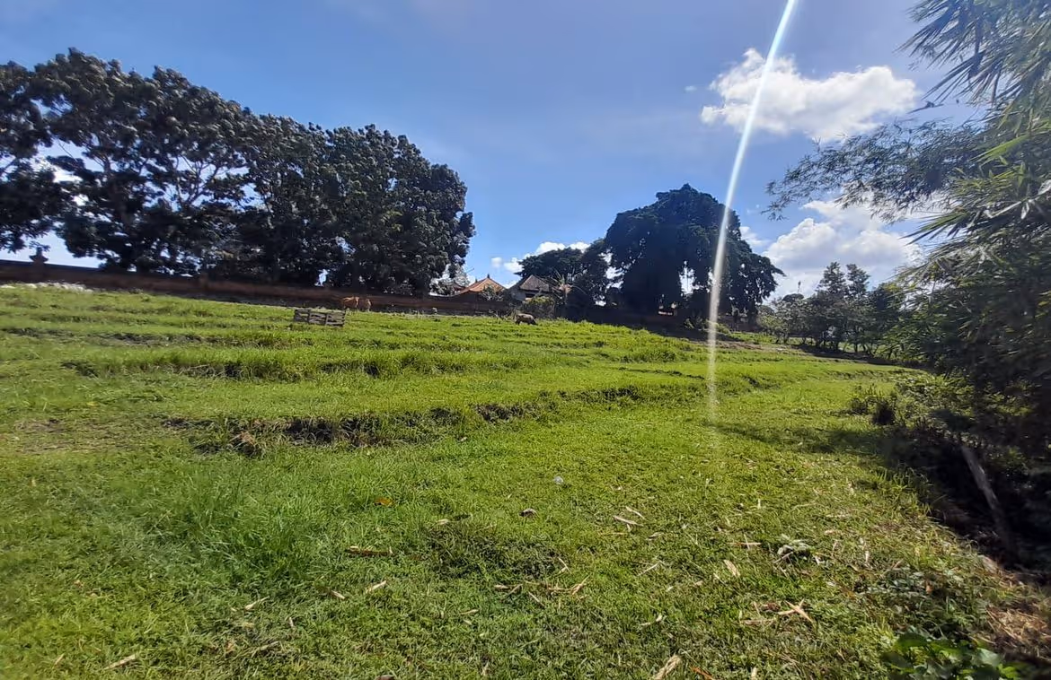 Plot for sale in Perernan