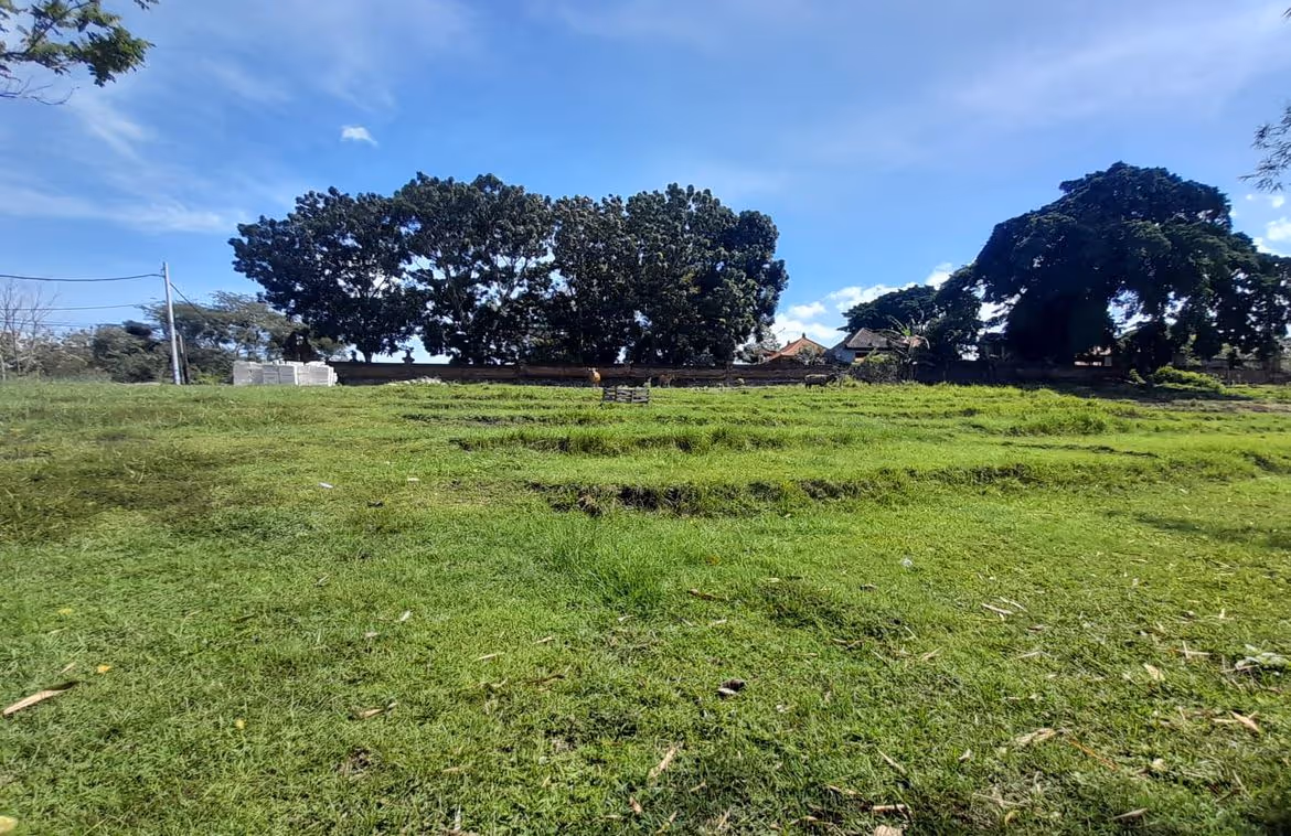 Plot for sale in Perernan