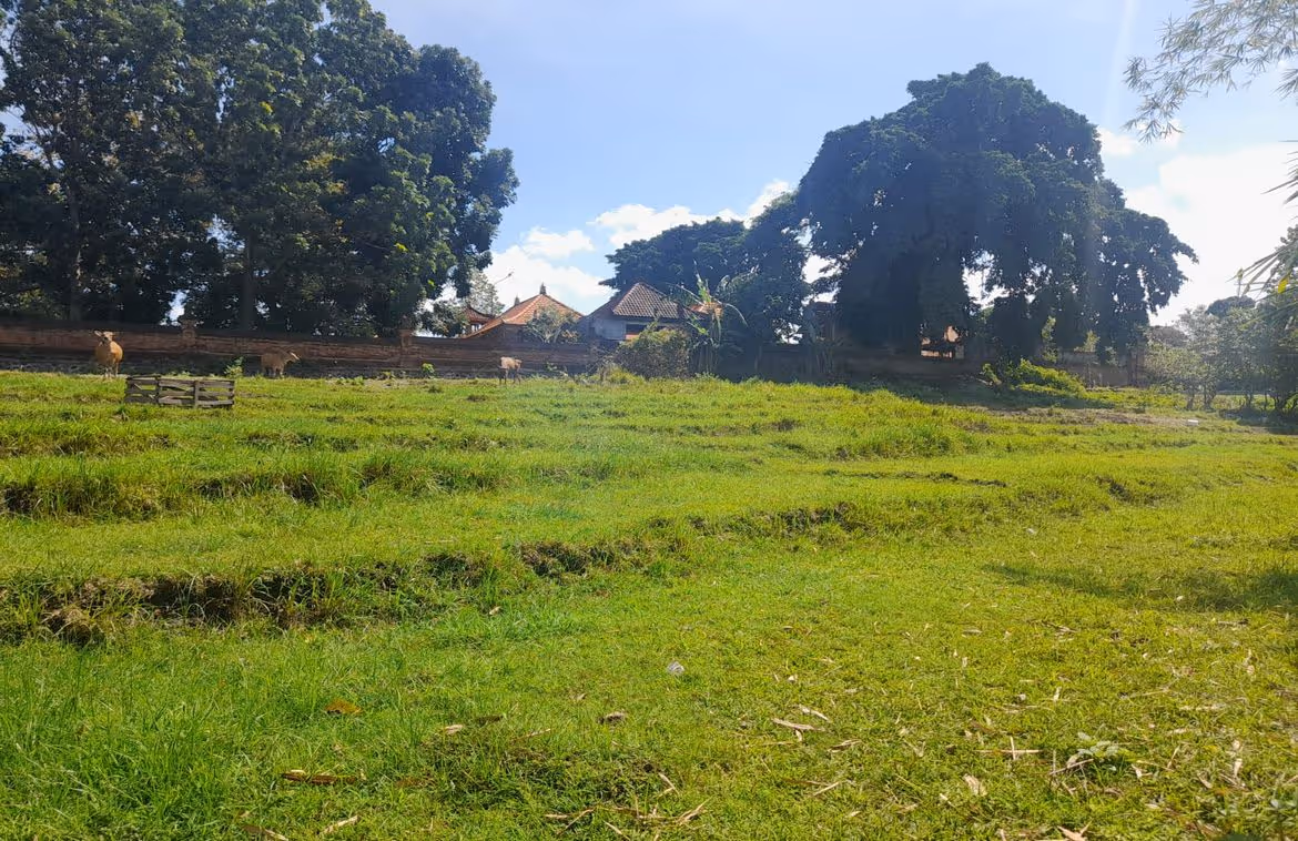 Plot for sale in Perernan