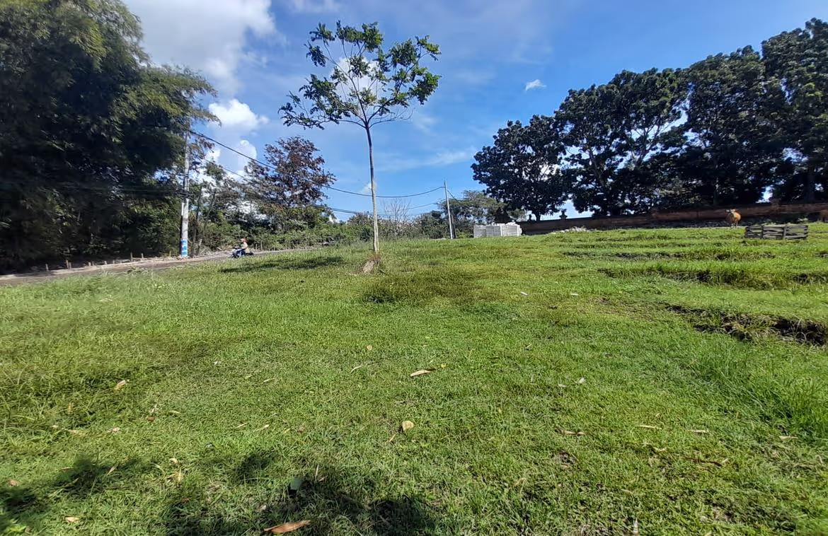 Plot for sale in Perernan