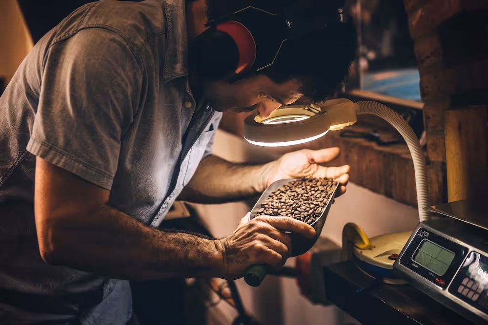 The Life Cycle Assessment (LCA) of Food: A Food Business Guide