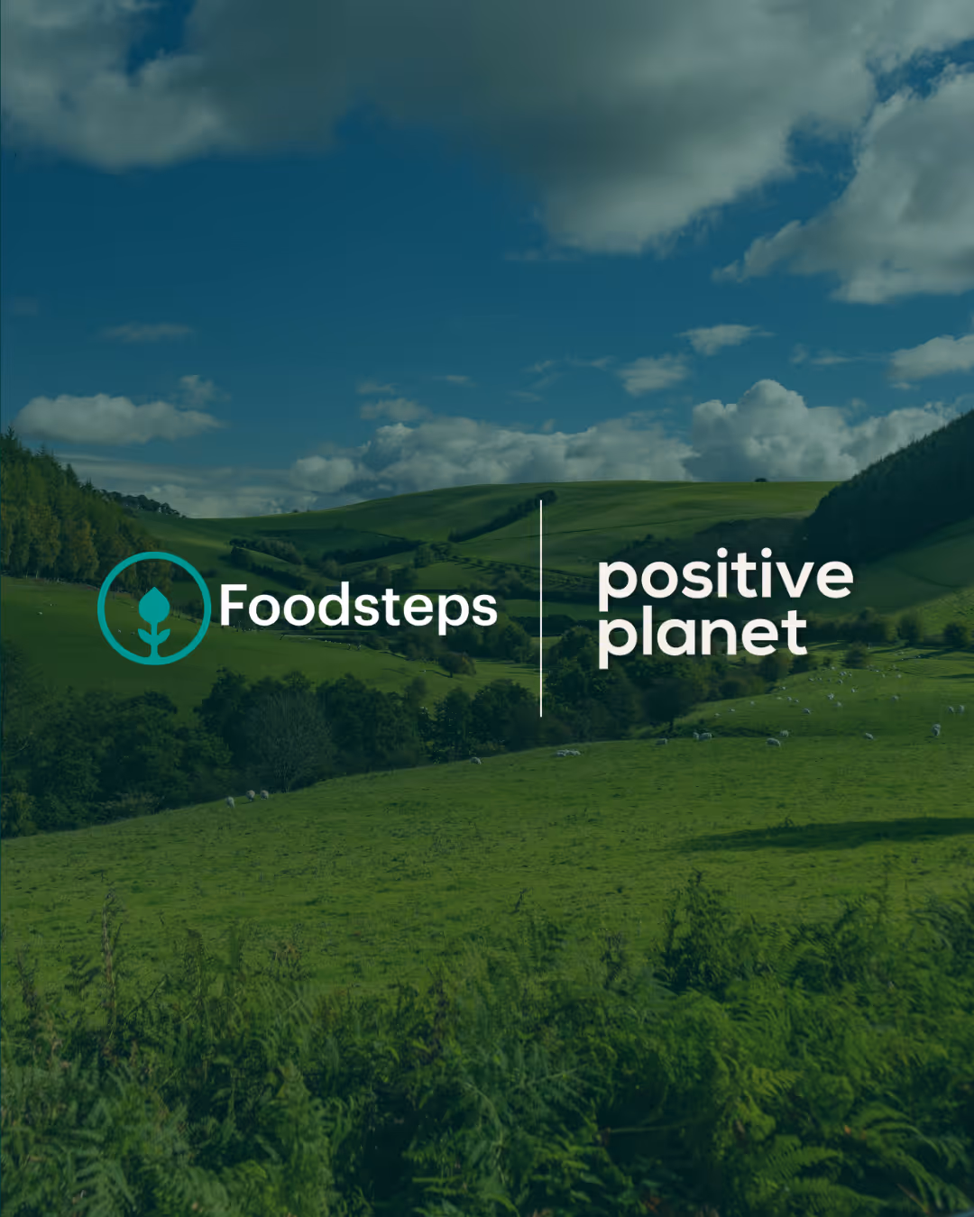 Foodsteps and Positive Planet Join Forces In A Collaborative Partnership