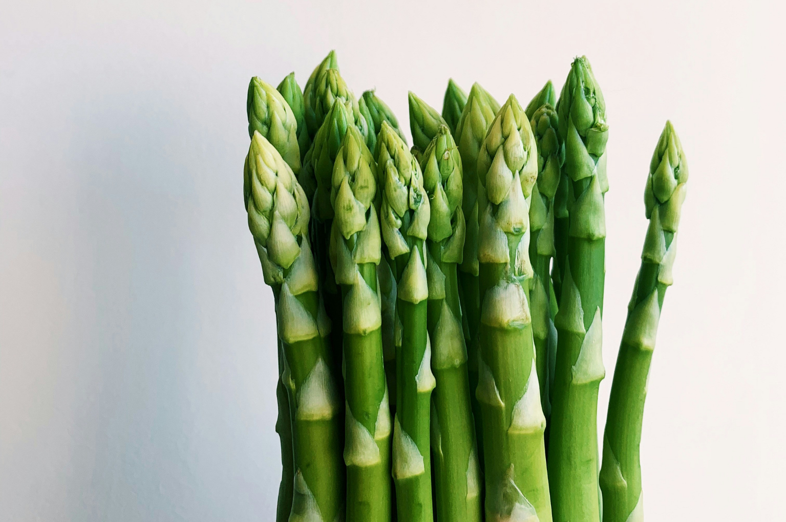 Swan London and Foodsteps Launch Low-Carbon Menu for London Climate Action Week
