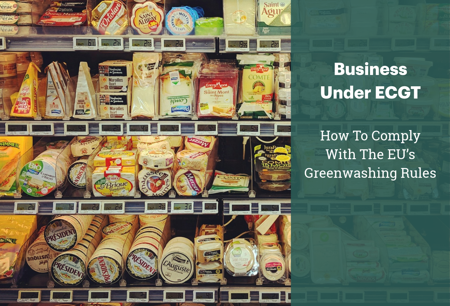 ECGT Is Here: How Food Businesses Can Navigate the EU’s Greenwashing Rules