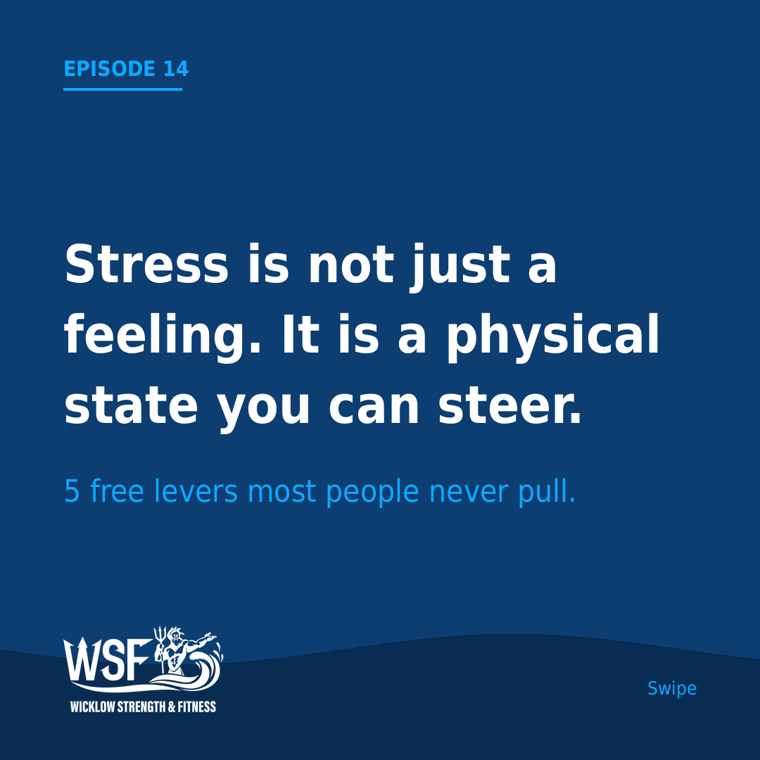 Train Your Nervous System: 5 Free Daily Protocols That Actually Lower Stress