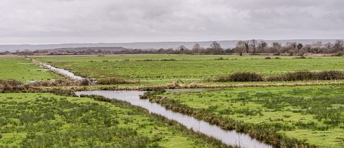 Reduktion der Pestizidrisiken: Ist der Aktionsplan ausreichend?