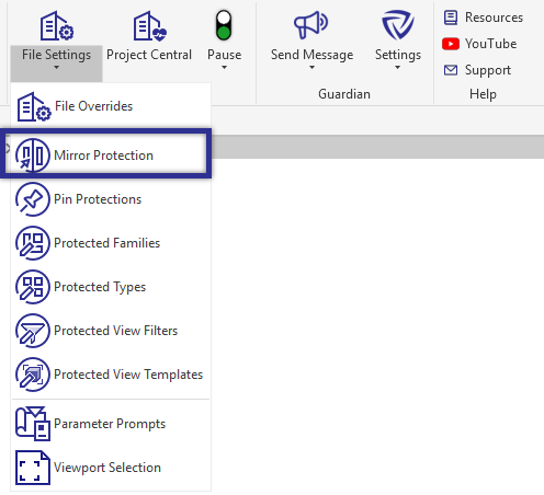 Mirror Protections under File Settings
