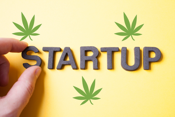 Cannabis Startup