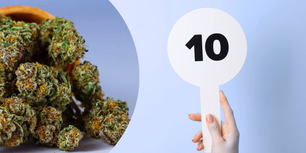 Are there any popular online platforms for stoner auctions?