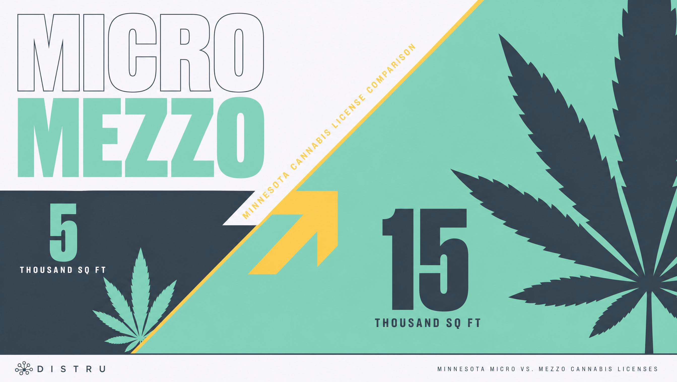 MN Cannabis Micro vs. Mezzo