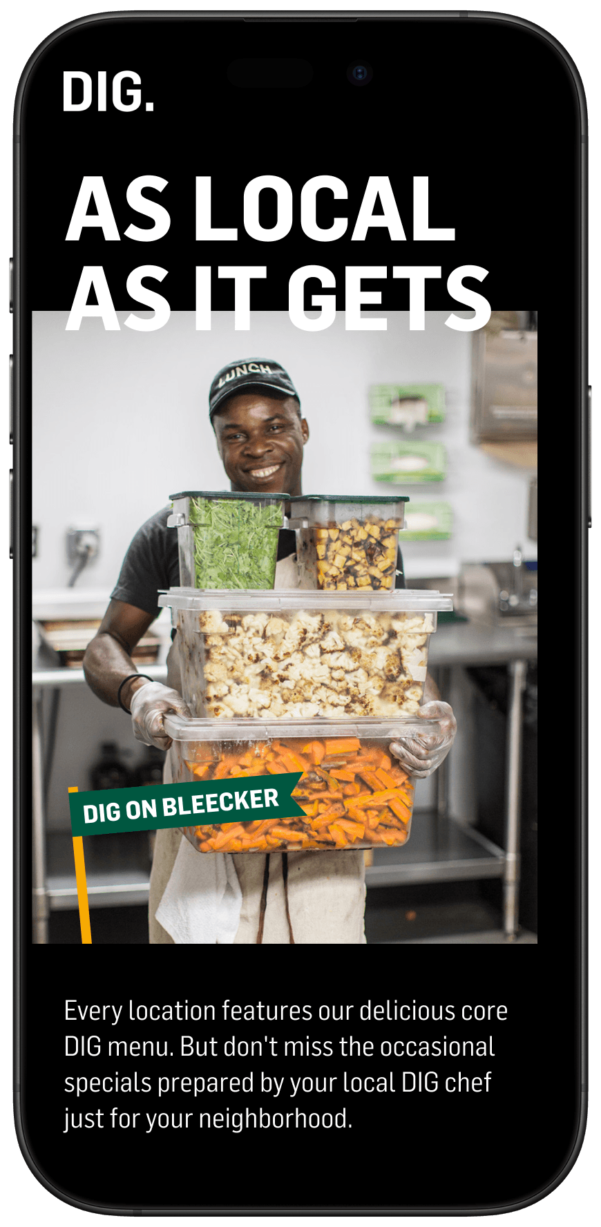 Mobile view of DIG landing page