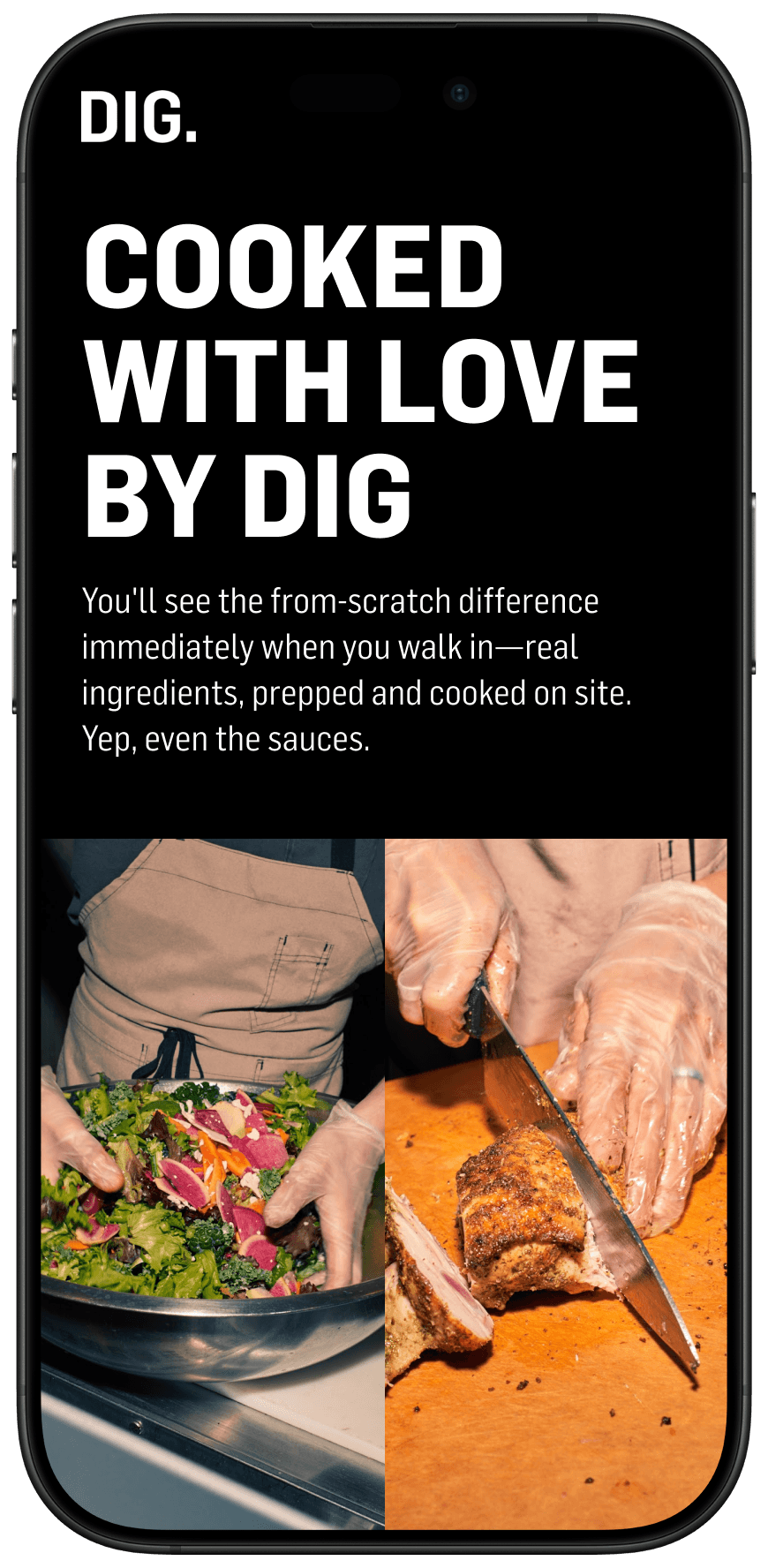 Mobile view of DIG landing page