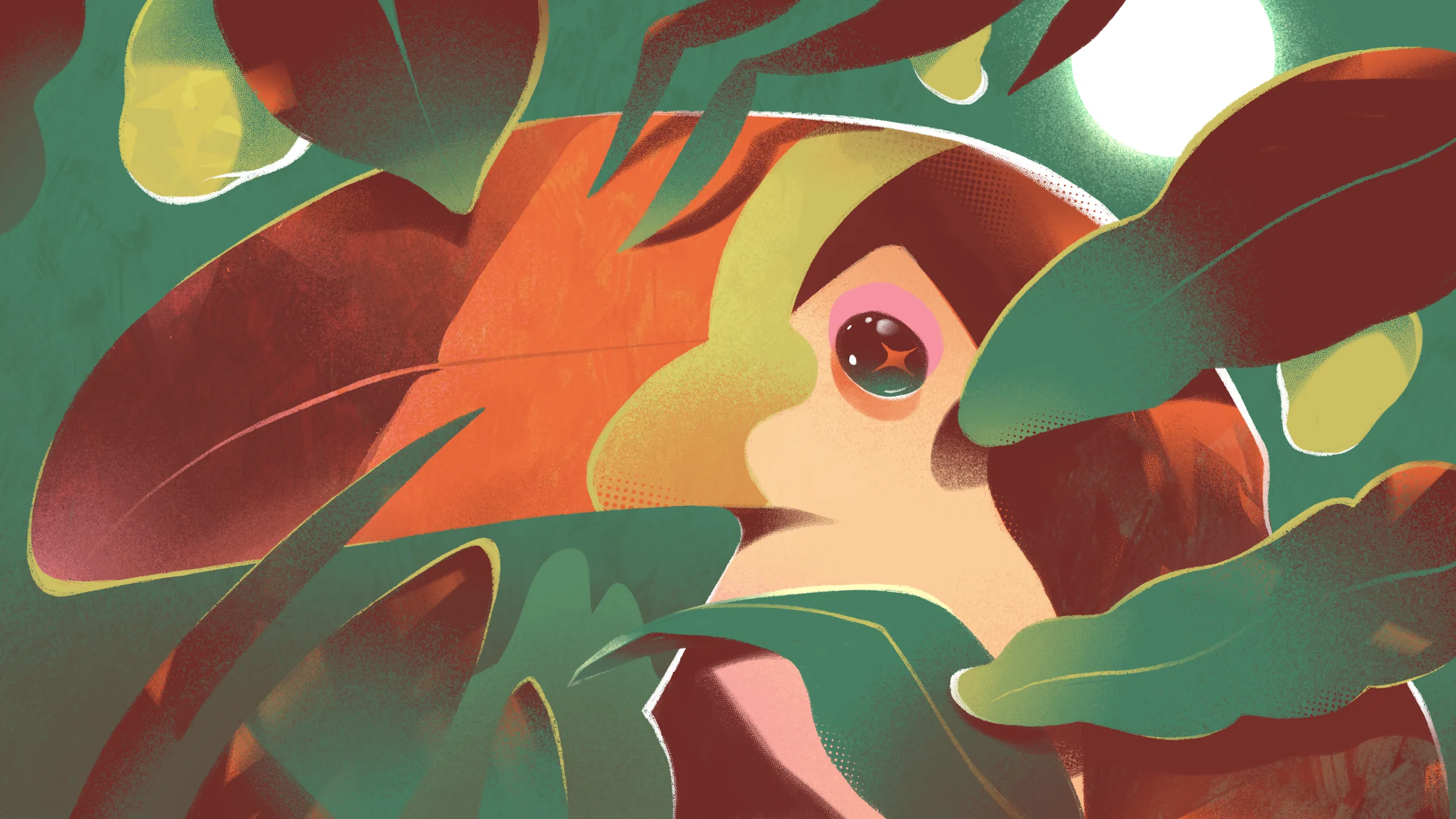 Rio 40° — styleframe