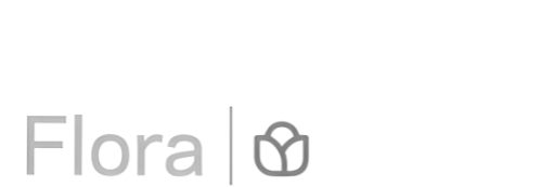 Mediaset Flora logo with stylized flower icon and vertical line separator.