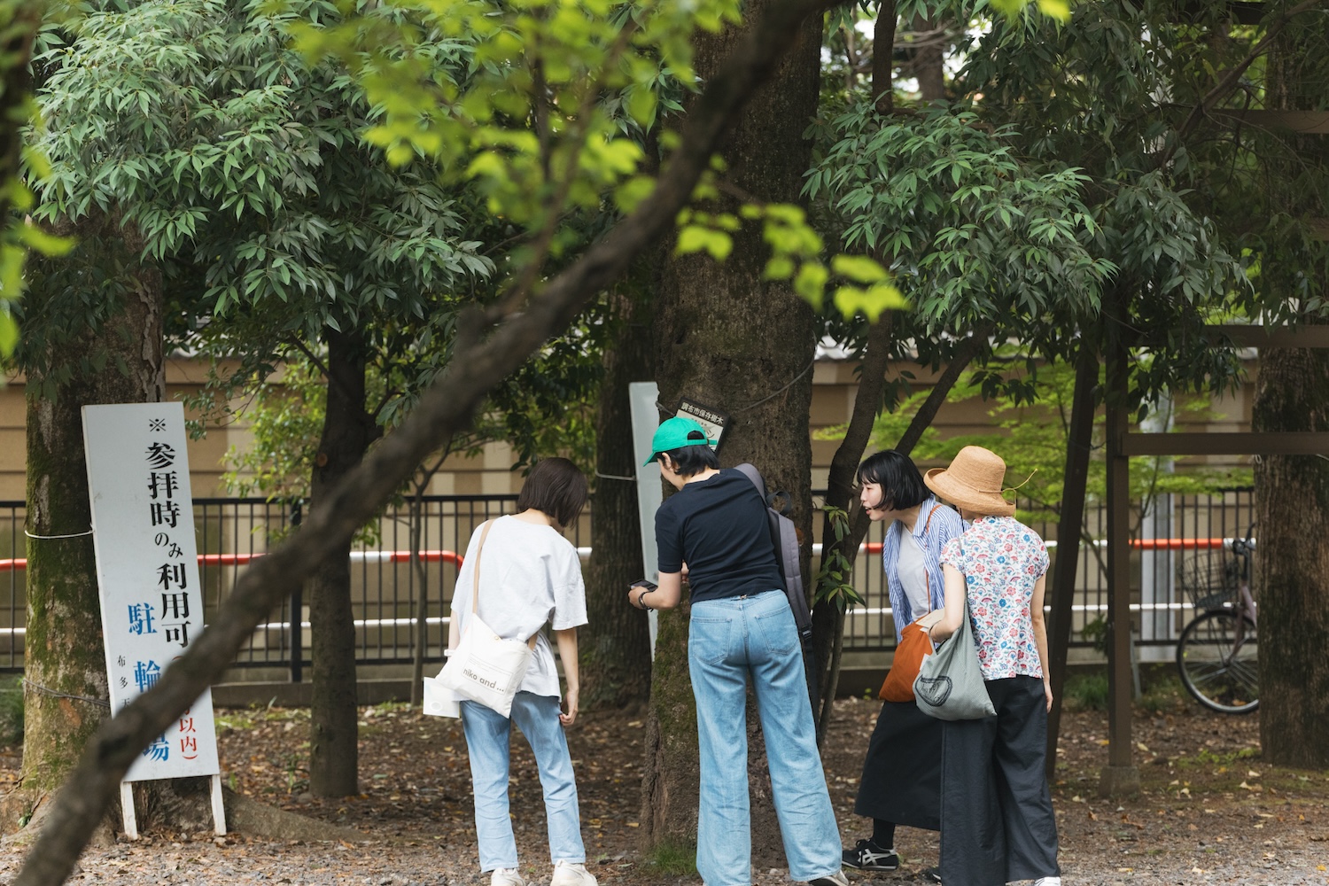 布多天神社で樹木を観察