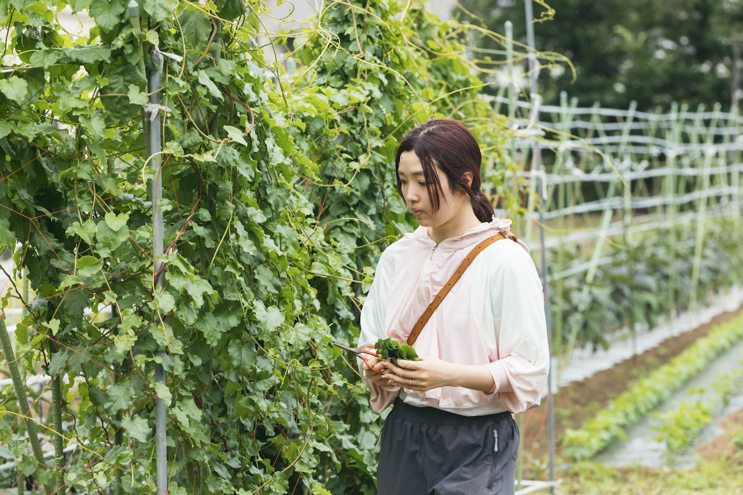 彩季農園の関森しずはさん