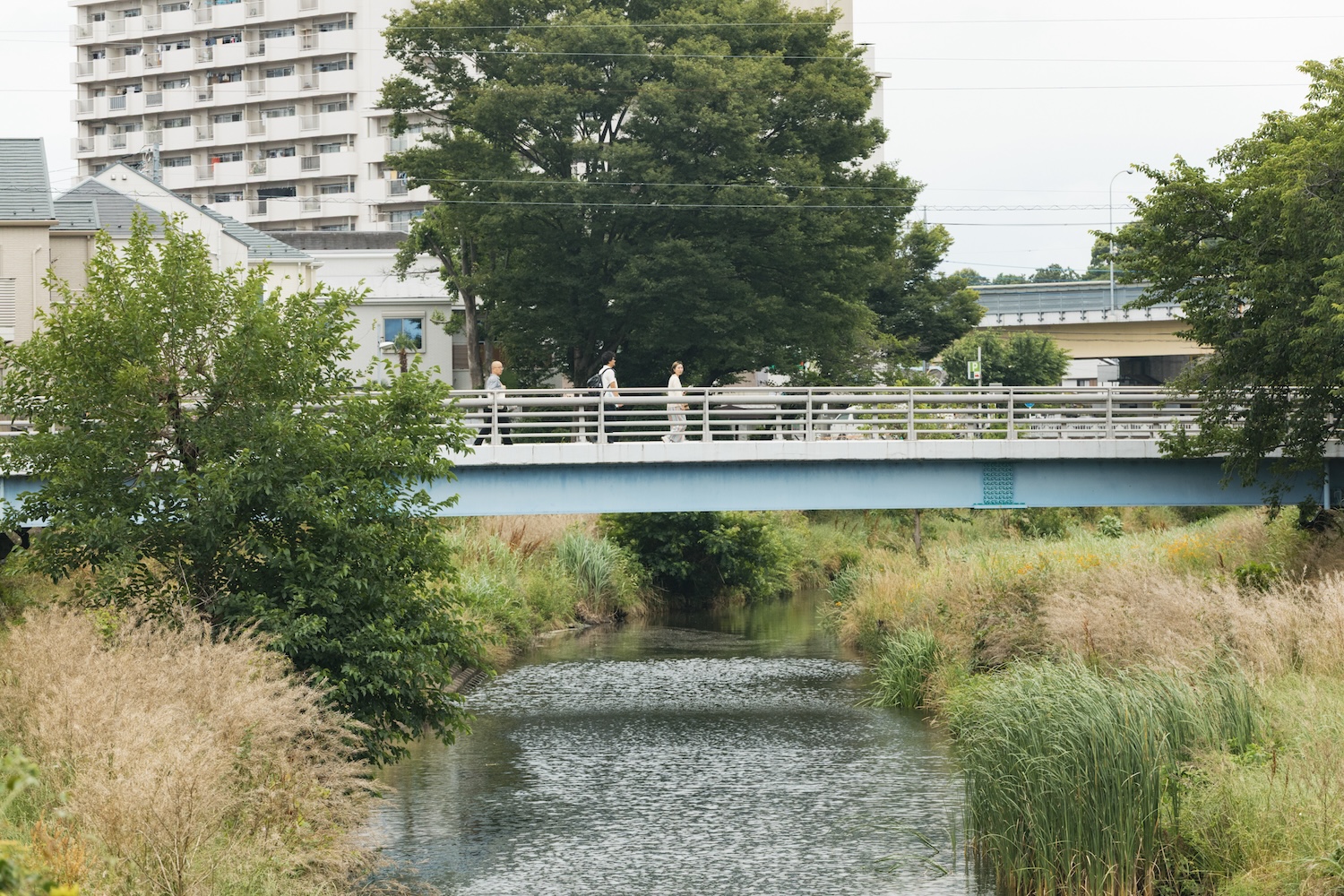 野川