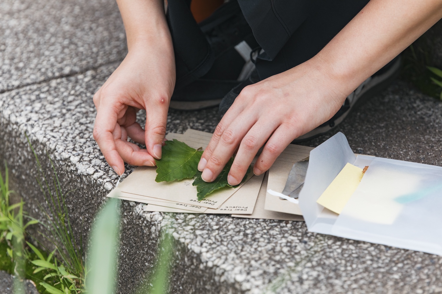 コレクションキットを作る参加者