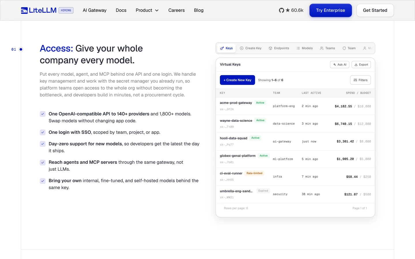 LiteLLM website: the Access section, with the Virtual Keys dashboard showing keys, teams, spend and budgets beside the copy