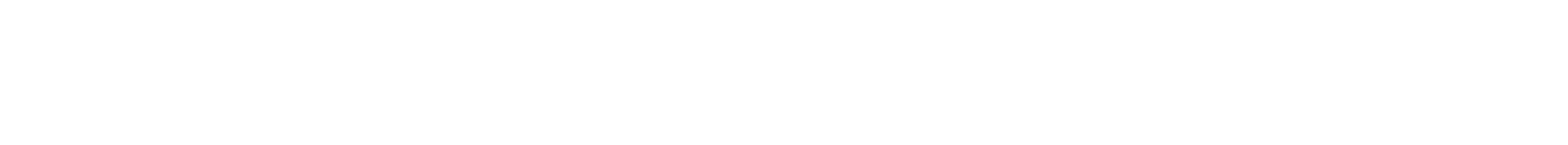 Noosha Beheshti portfolio logo - light