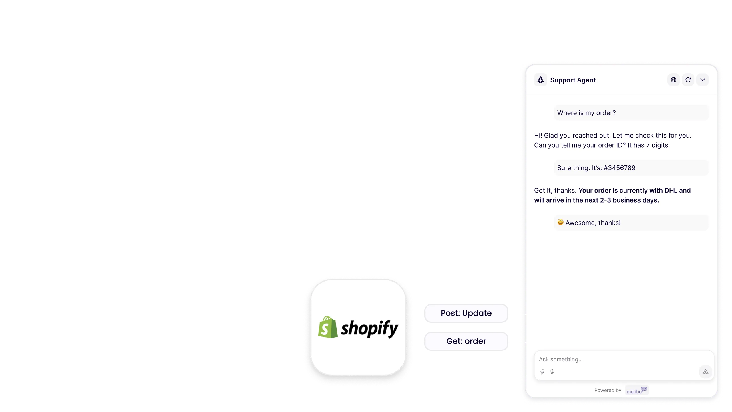 Chat with support agent shows order inquiry and reply with DHL delivery update in 2-3 business days.