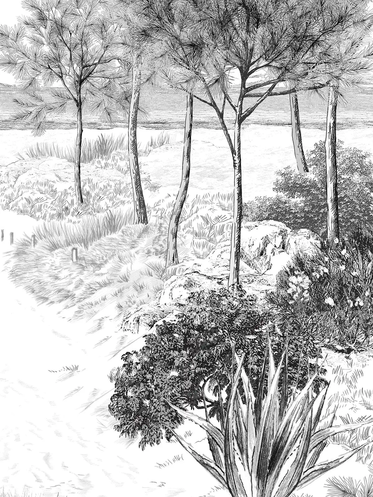 papier peint panoramique inspiré des paysages marins et des dunes de sable des côtes Atlantique isidore leroy