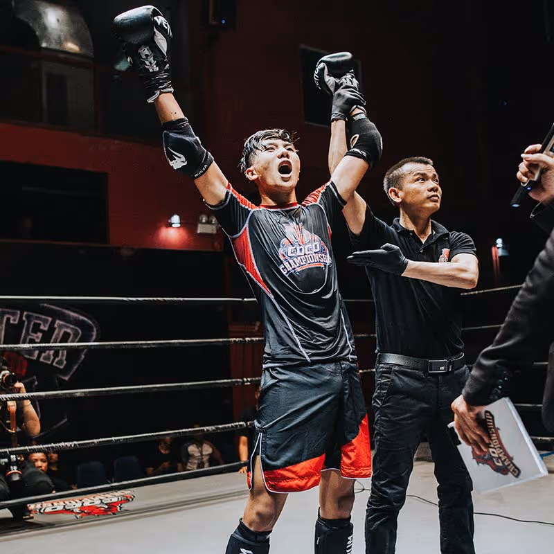 Winning MMA Fight 