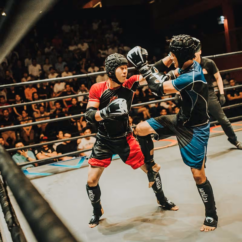 MMA match in a ring