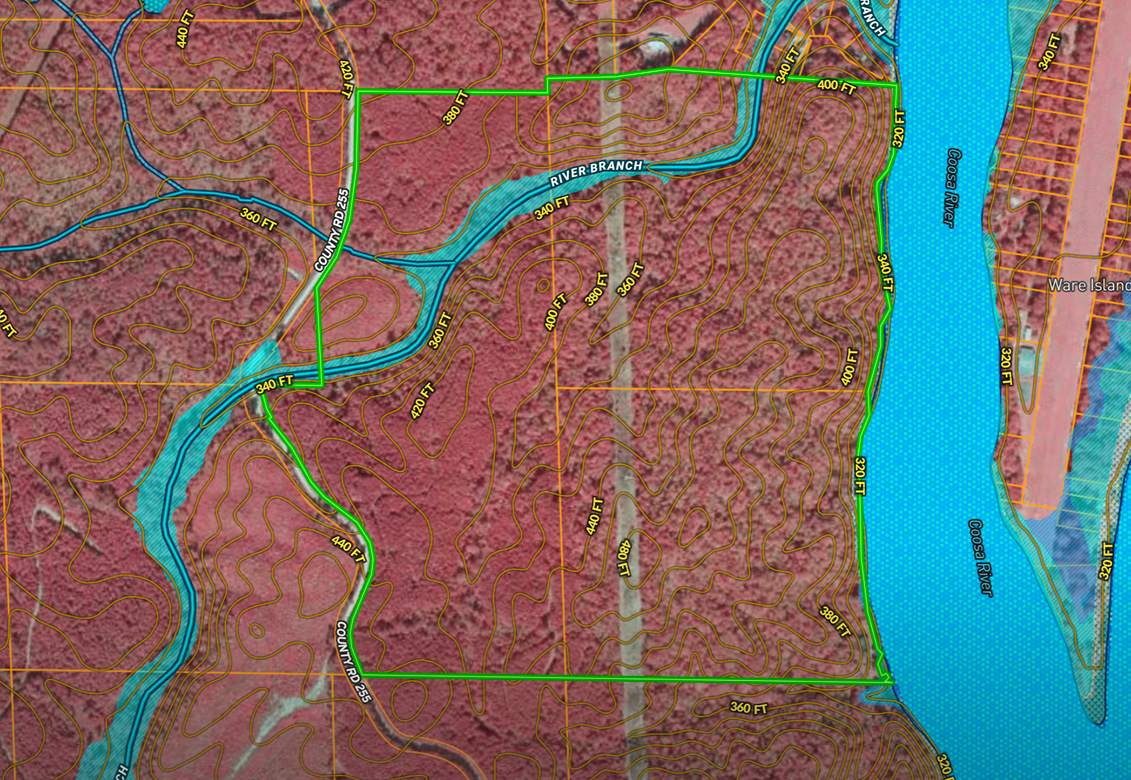 Developing & Assessing Timberlands