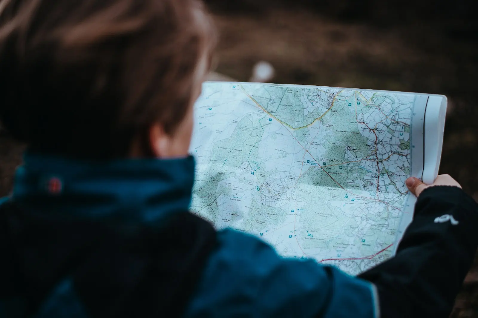 Person looking over a map