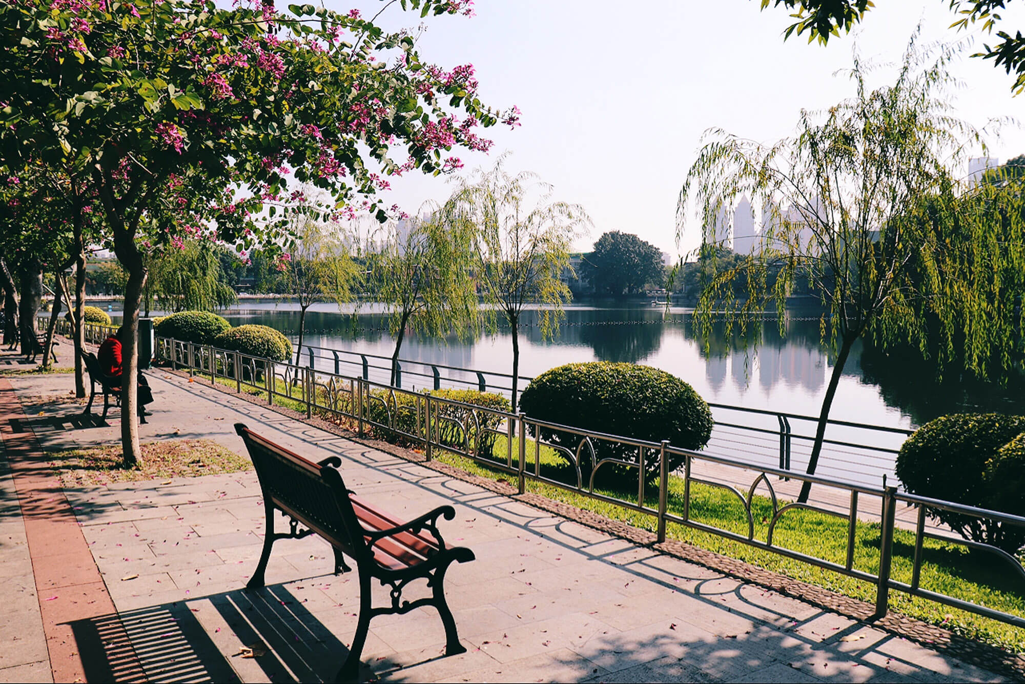 A park waterfront