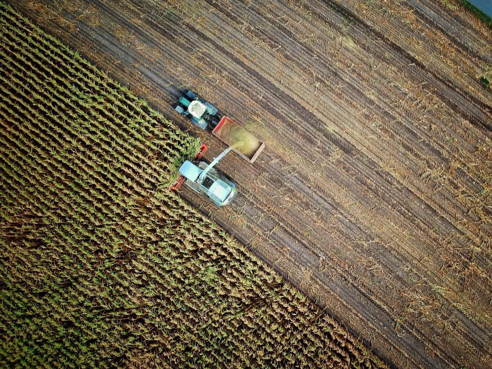 Field Mapping Agriculture