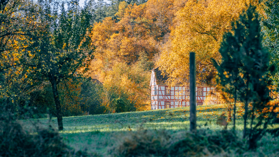 An old house in the middle of a field with trees in the background