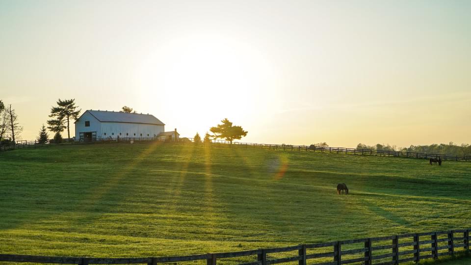 The sun setting over a farm with a barn in the background