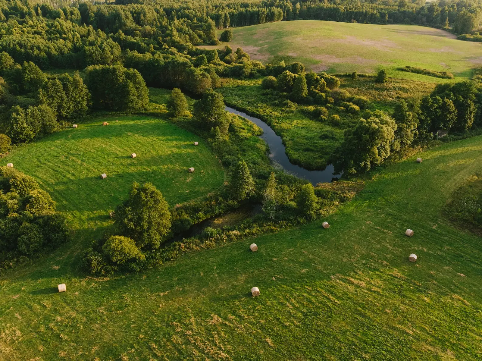 Overview of an open field
