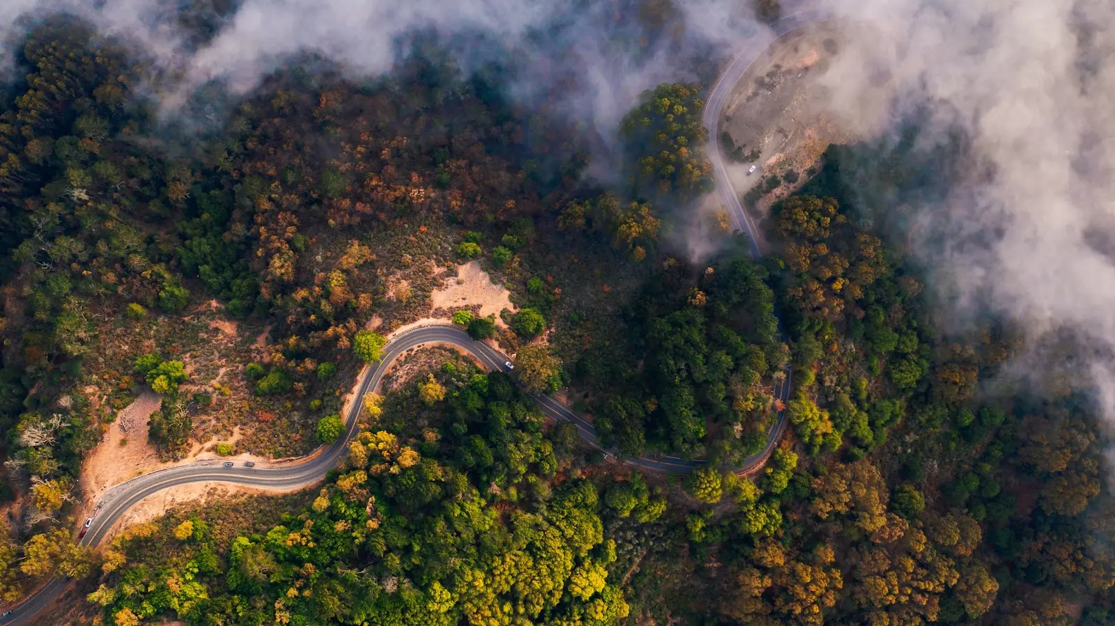 Sky view of a road in between trees