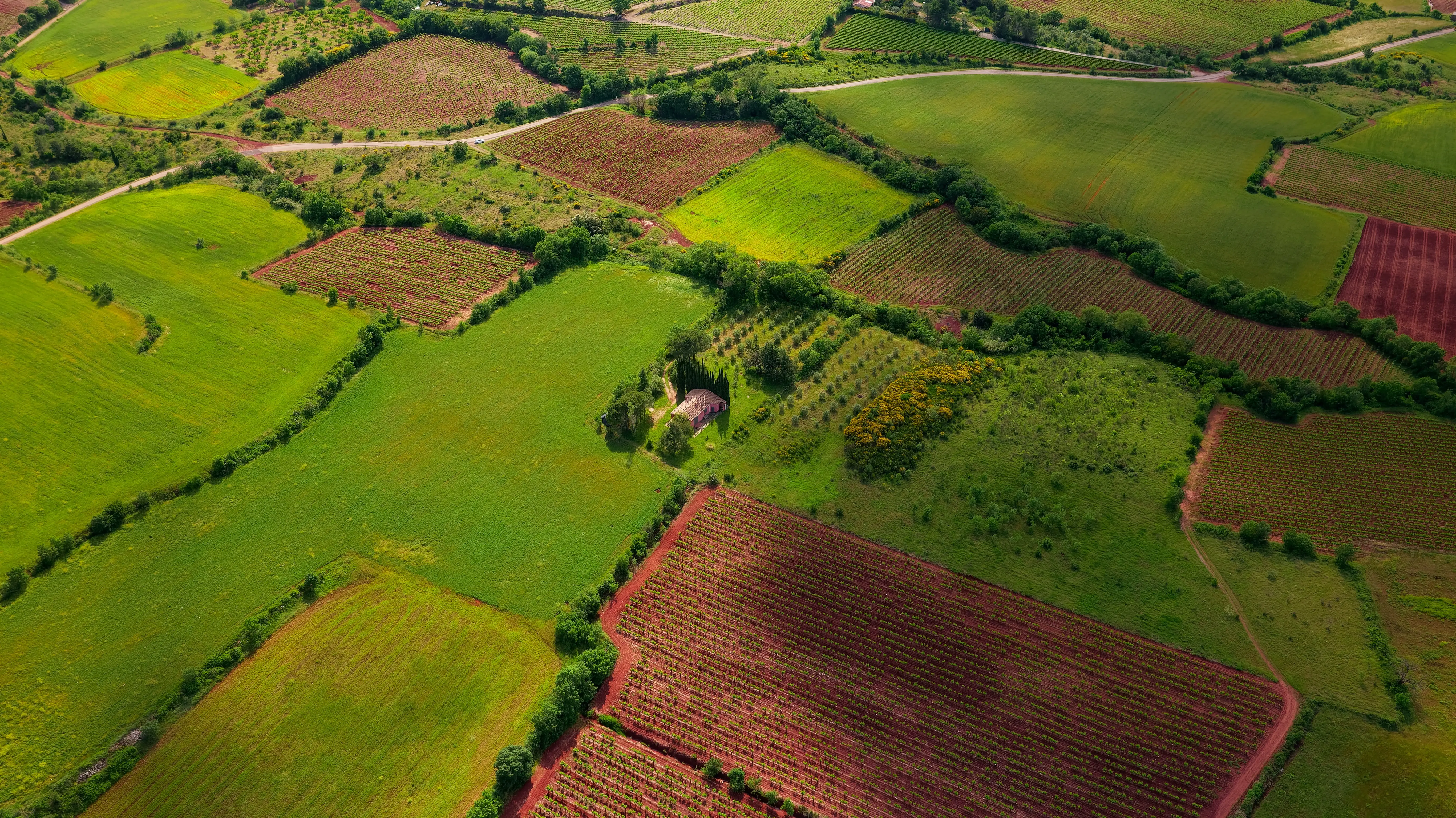 Aerial open field