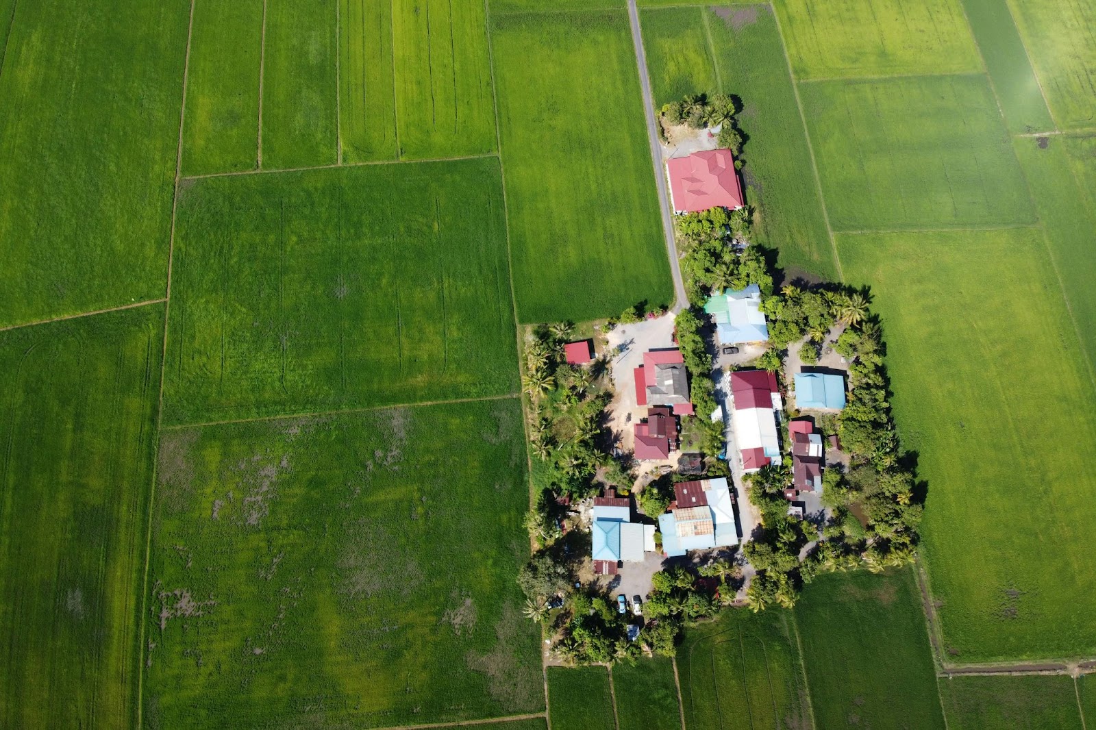A group of houses and buildings on a large plot of land