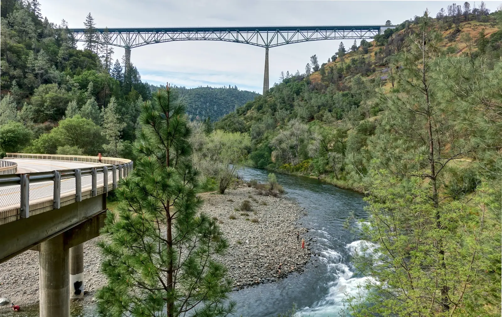 A view of a highway and a tall bridge surrounded by trees