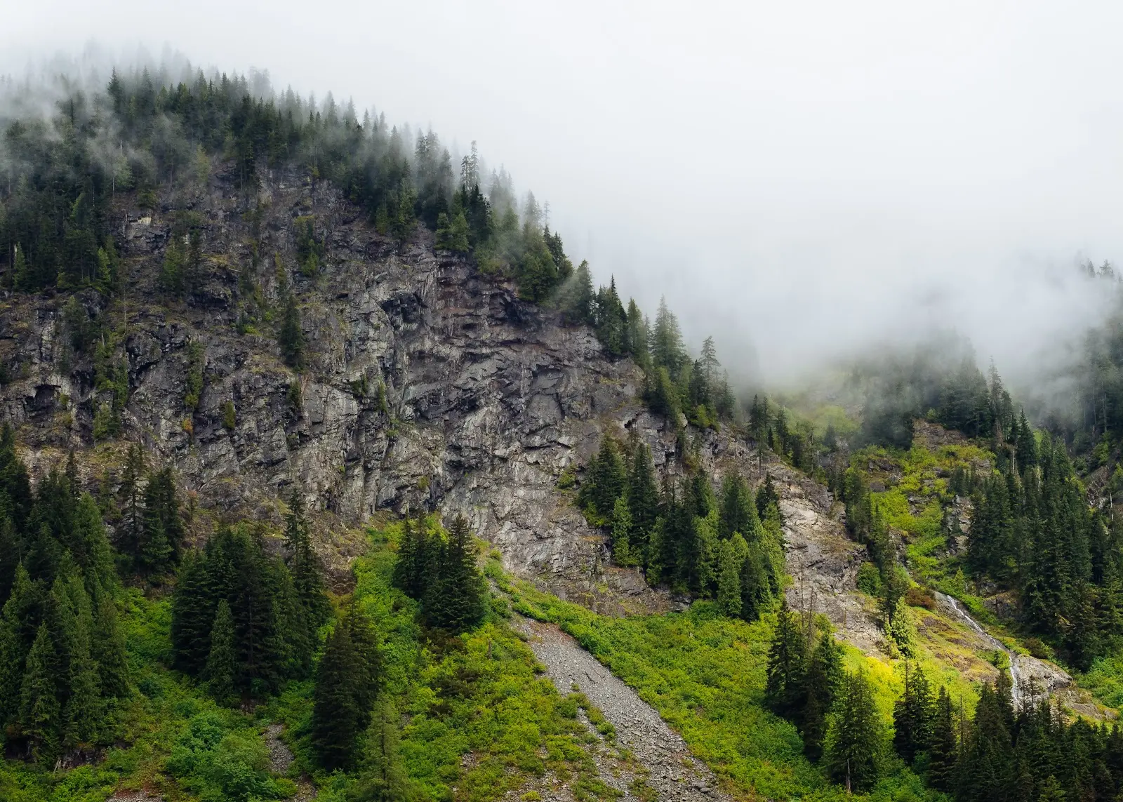 rocks and trees on a hill