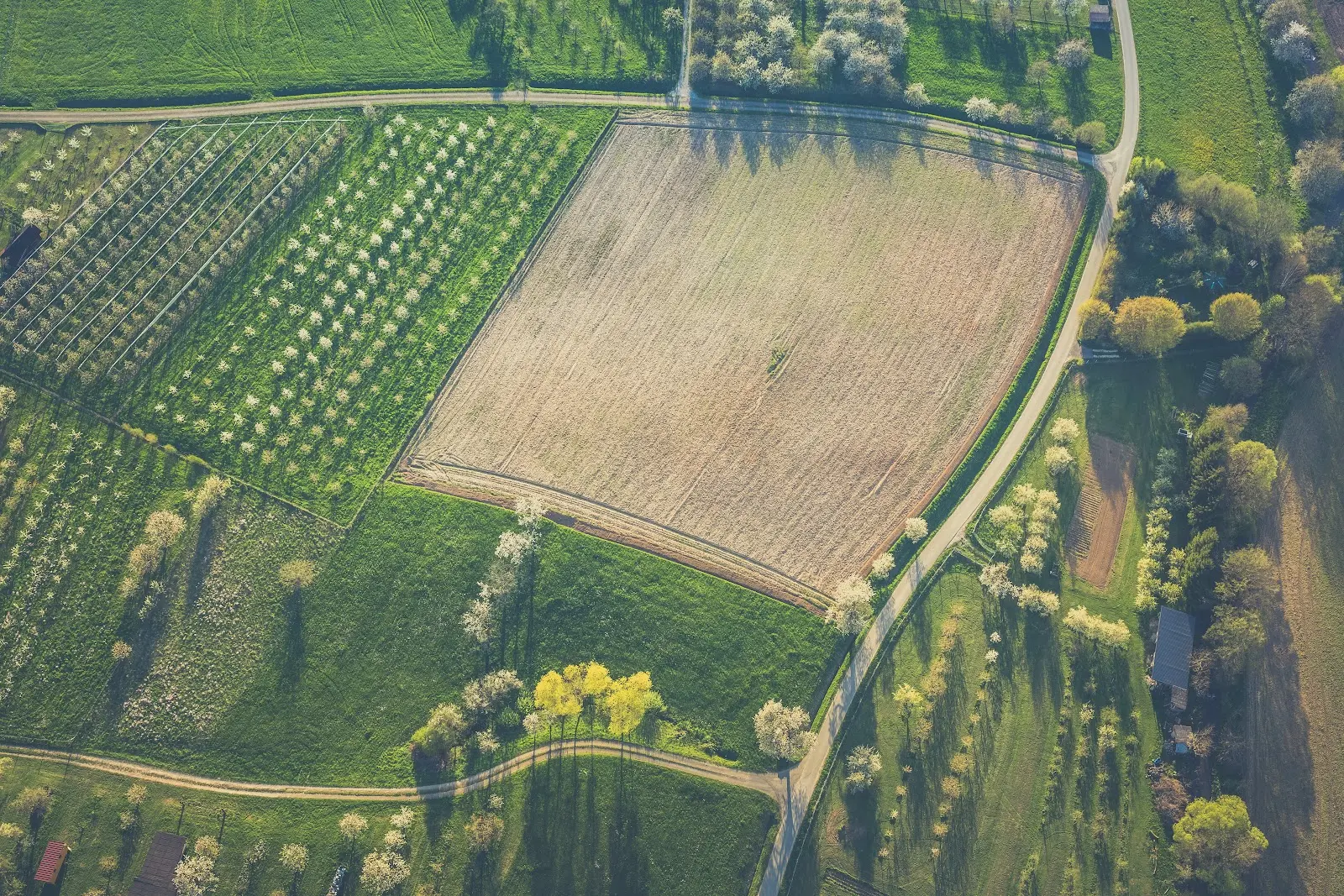 An aerial open field
