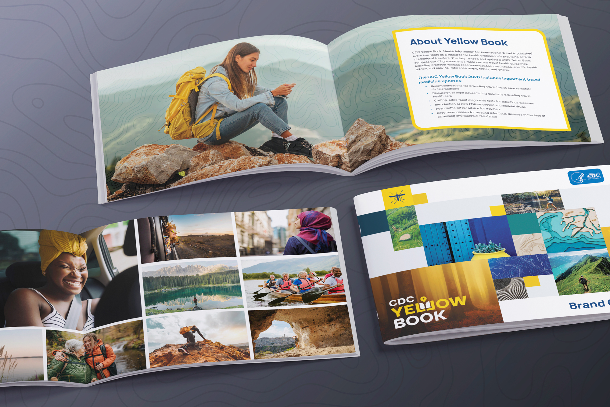 CDC Yellow Book 2024 cover and brand identity designed by Alyssa Ostroff