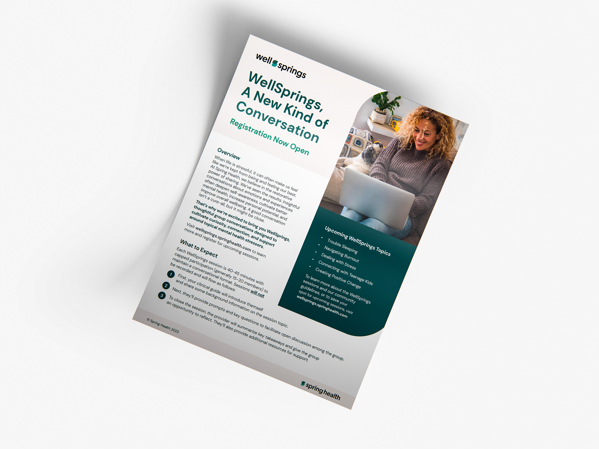 The Wellsprings flyer, “A New Kind of Conversation,” carrying both brands.