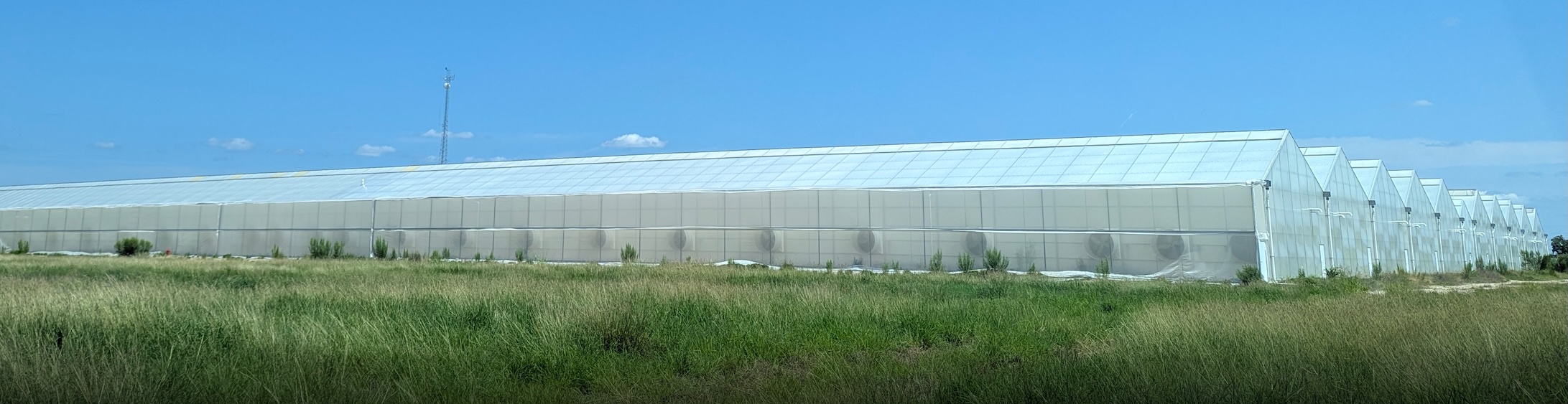 Sensei Ag® Expands U.S Greenhouse Network