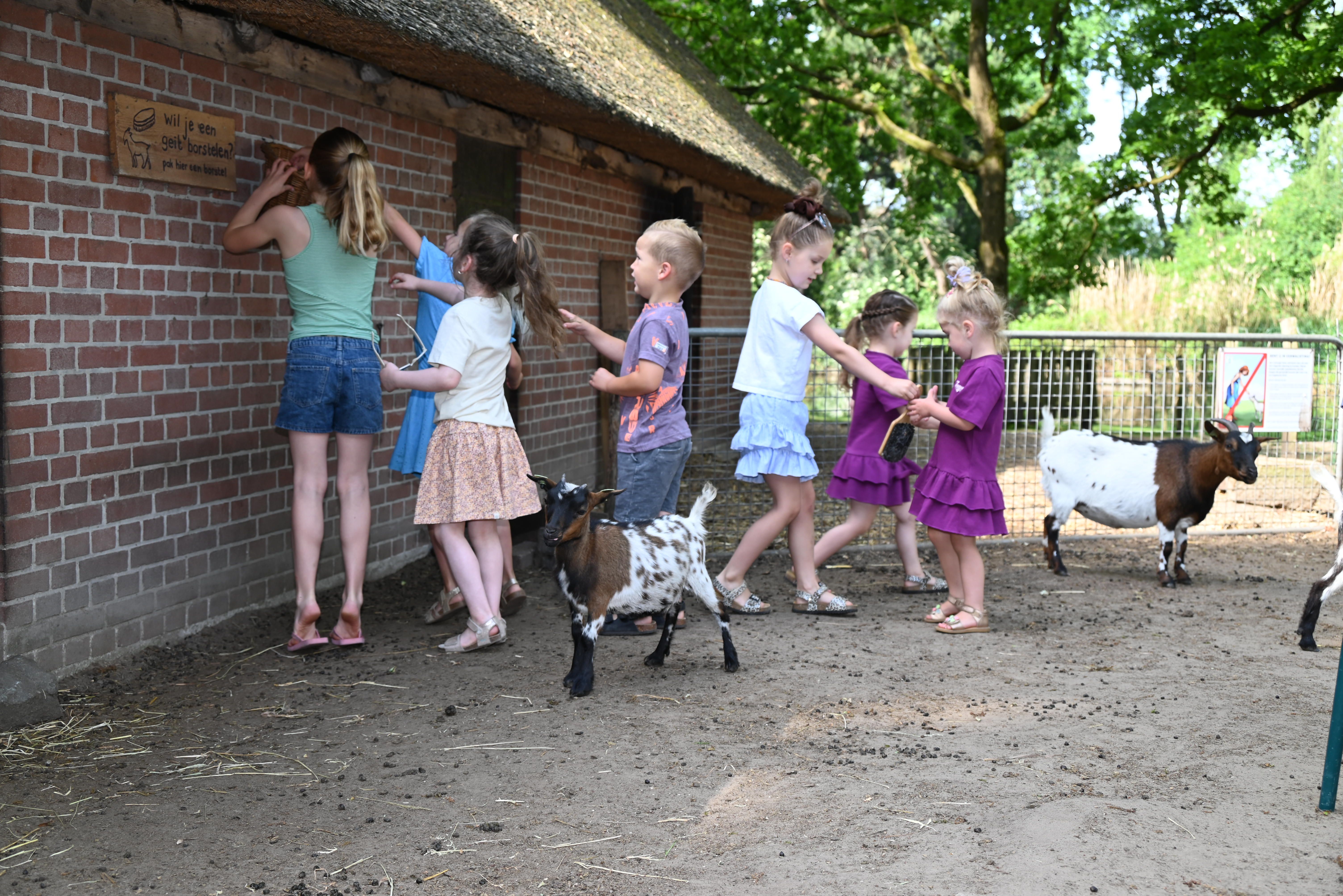 700 bezoekers bij zonnige open dag Kinderboerderij