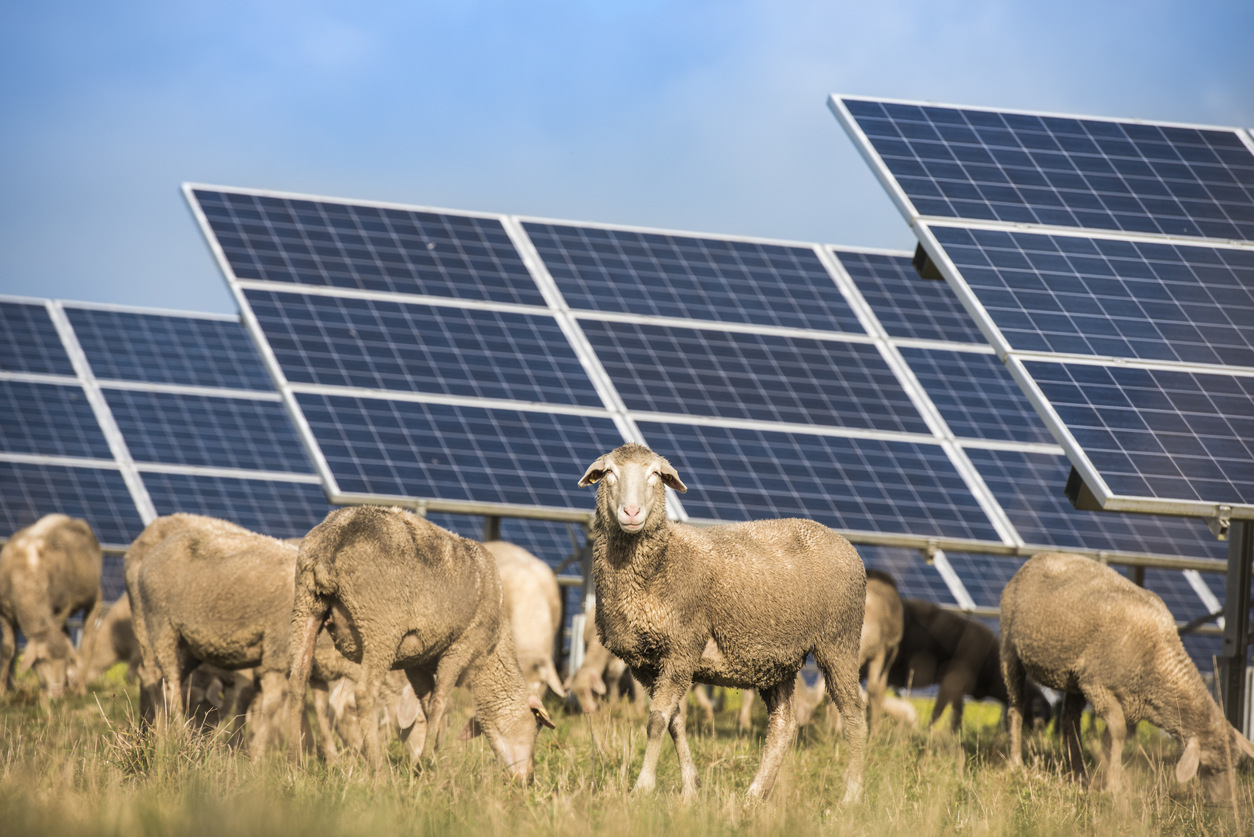 Prix d’une location de terre agricole pour une installation de panneaux photovoltaïques