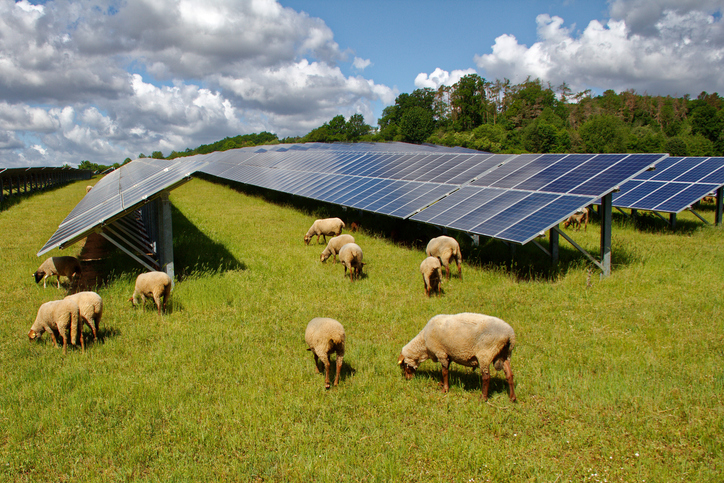 Parc photovoltaïque : une contribution majeure à la transition énergétique française